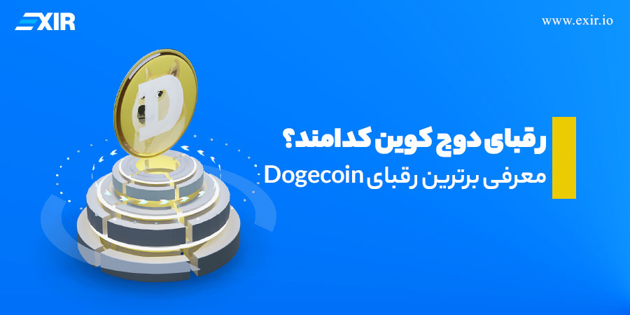بررسی اصلی ترین رقبای دوج کوین که باید بدانید!