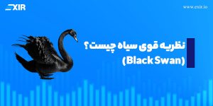 قوی سیاه 🦢(Black Swan) چیست؟ ۵ استراتژی برای نجات از بحران‌های غیرمنتظره